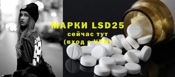 спиды Липки