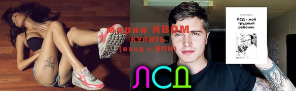 спиды Липки