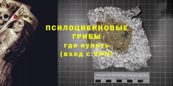 PSILOCYBIN Ладушкин